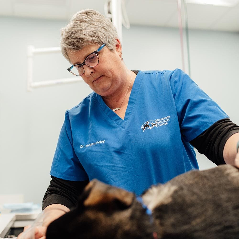 Close Up Of Doctor Checking On Patient