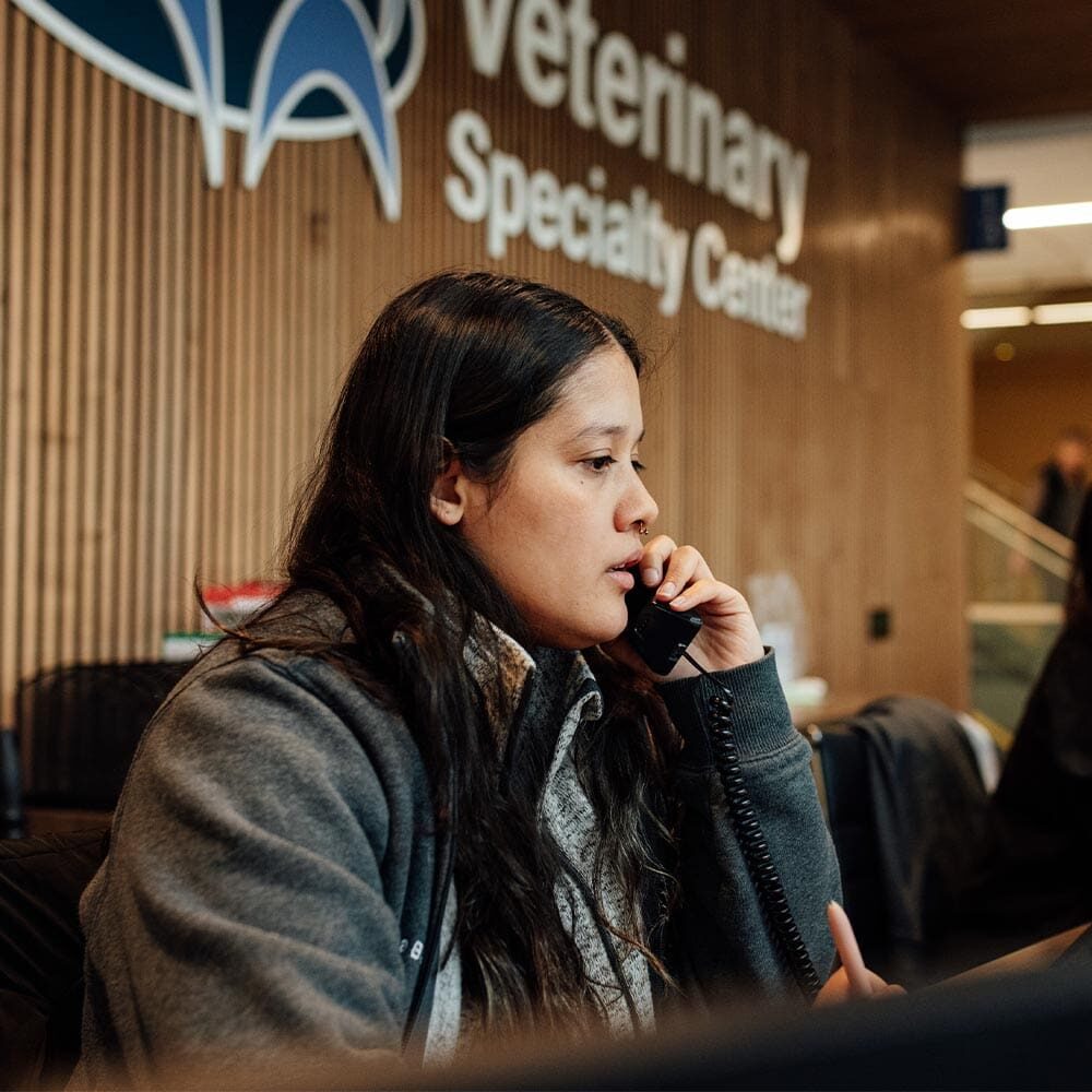 Female Receptionist Answering Phone At Front Desk