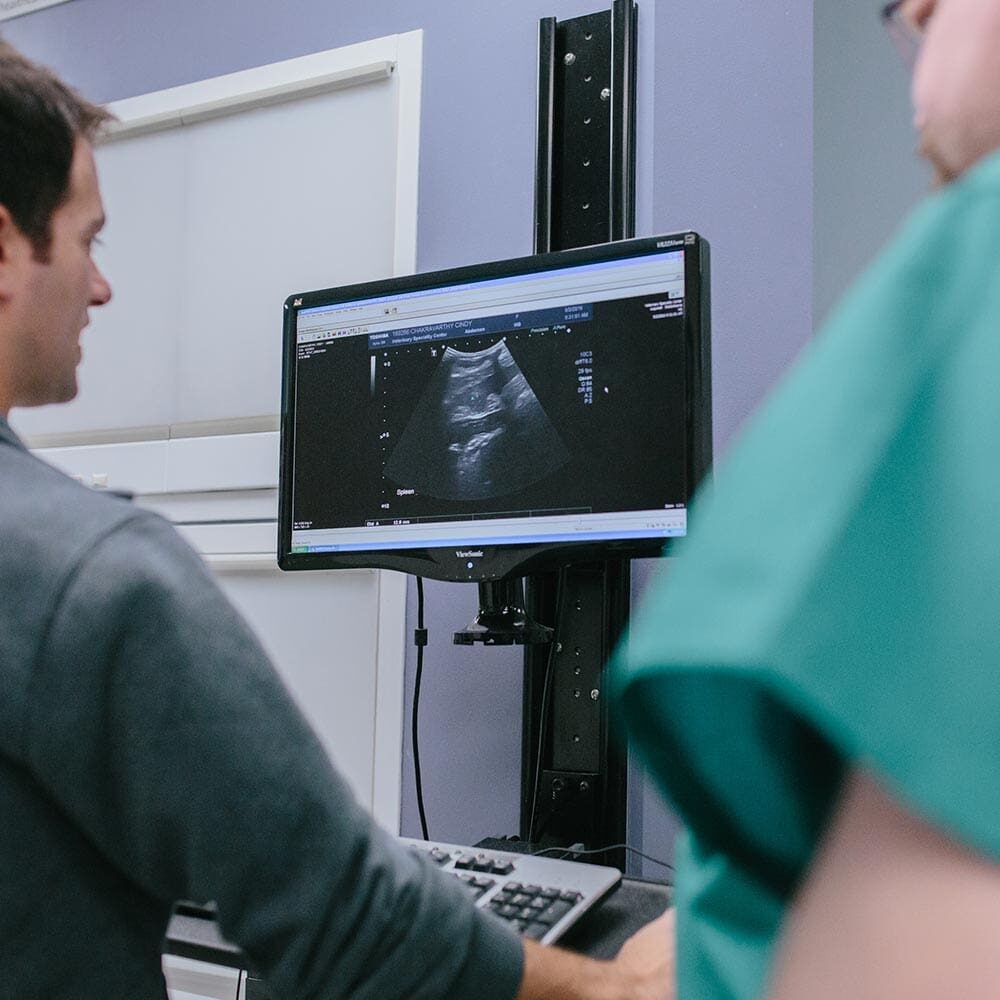 Internal Medicine Doctors Looking At Scan On Computer