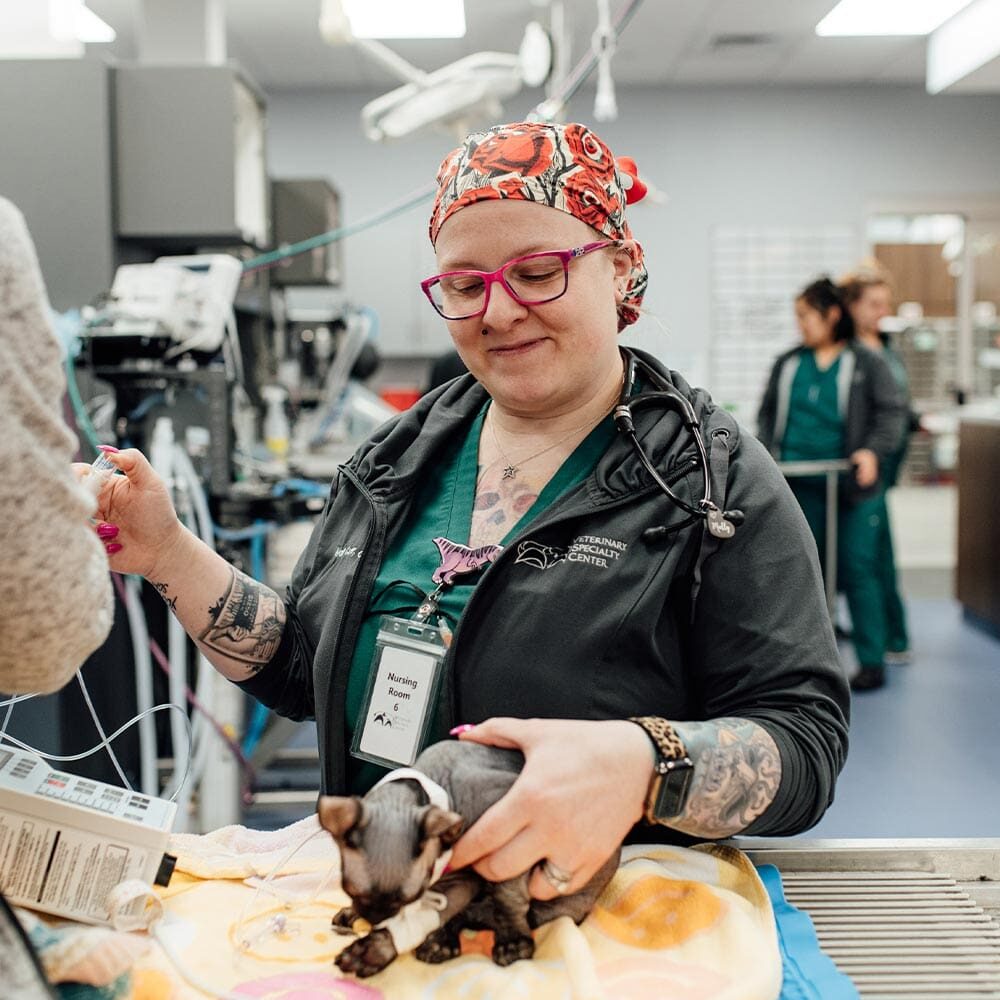 Vet Tech Smiling And Holding Kitten