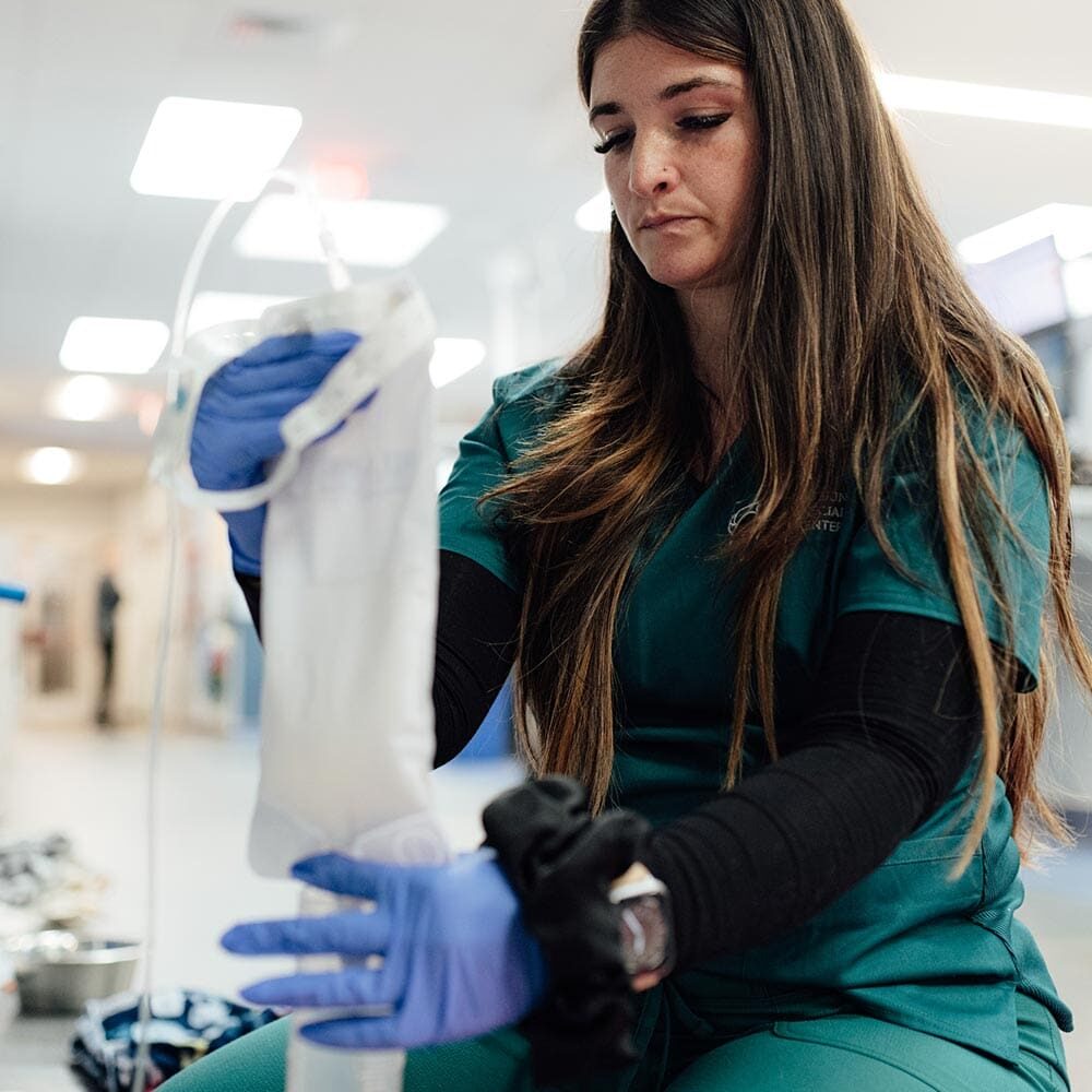 Veterinary Technician Working With Medical Equipment